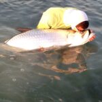 Angler in a yellow shirt and white cap kisses a large Tarpon fish gently before releasing it back into the waters of Key West, a highlight of sustainable deep sea fishing packages.