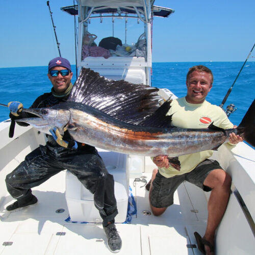 Two men on a boat proudly displaying a large sailfish caught during one of the premier fishing charters in Key West, showcasing the excitement and success of deep-sea angling adventures in the area. Marlin Fishing.