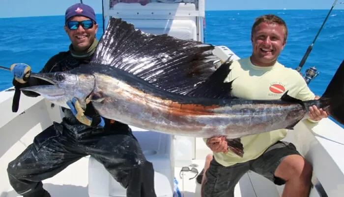 Two men on a boat proudly displaying a large sailfish caught during one of the premier fishing charters in Key West, showcasing the excitement and success of deep-sea angling adventures in the area. Marlin Fishing.