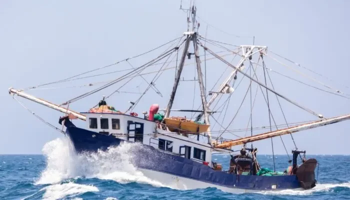 A shrimp boat navigates the lively Gulf waters off Key West, capturing the essence of an exclusive private charter dedicated to deep-water wreck and shrimp boat tailing fishing in Key West, where anglers can expect to reel in a variety of species.